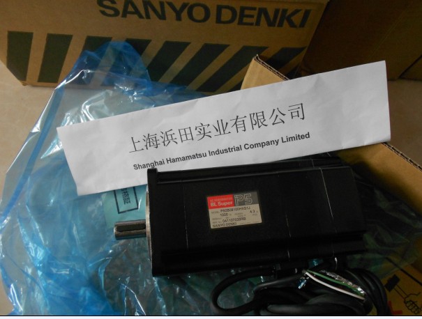 環(huán)保電機P60B18350HXS00
